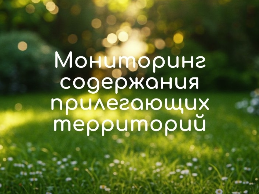 Содержание прилегающих территорий торговых объектов.